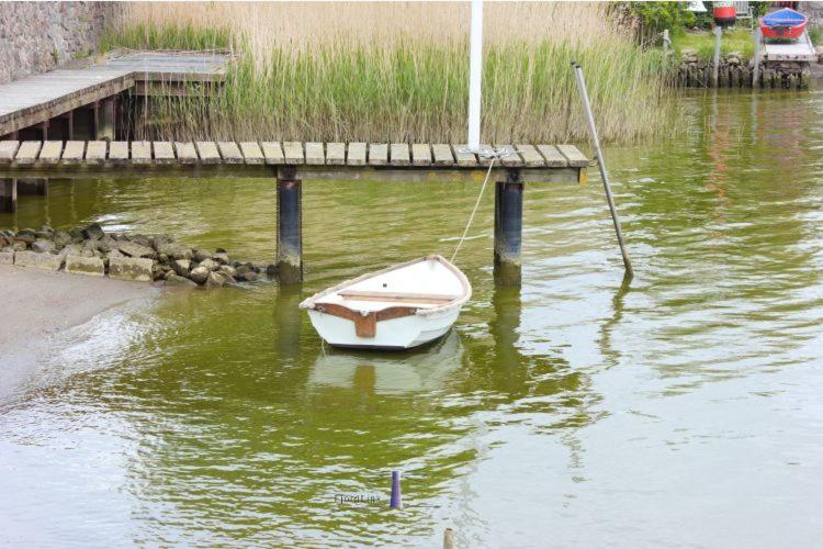 Hausboot Fjord Ankerplatz Mit Biosauna In 슐레스비히 외부 사진